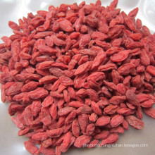 Goji Berries Ningxia Dry Goji Berries Organic Goji Berry